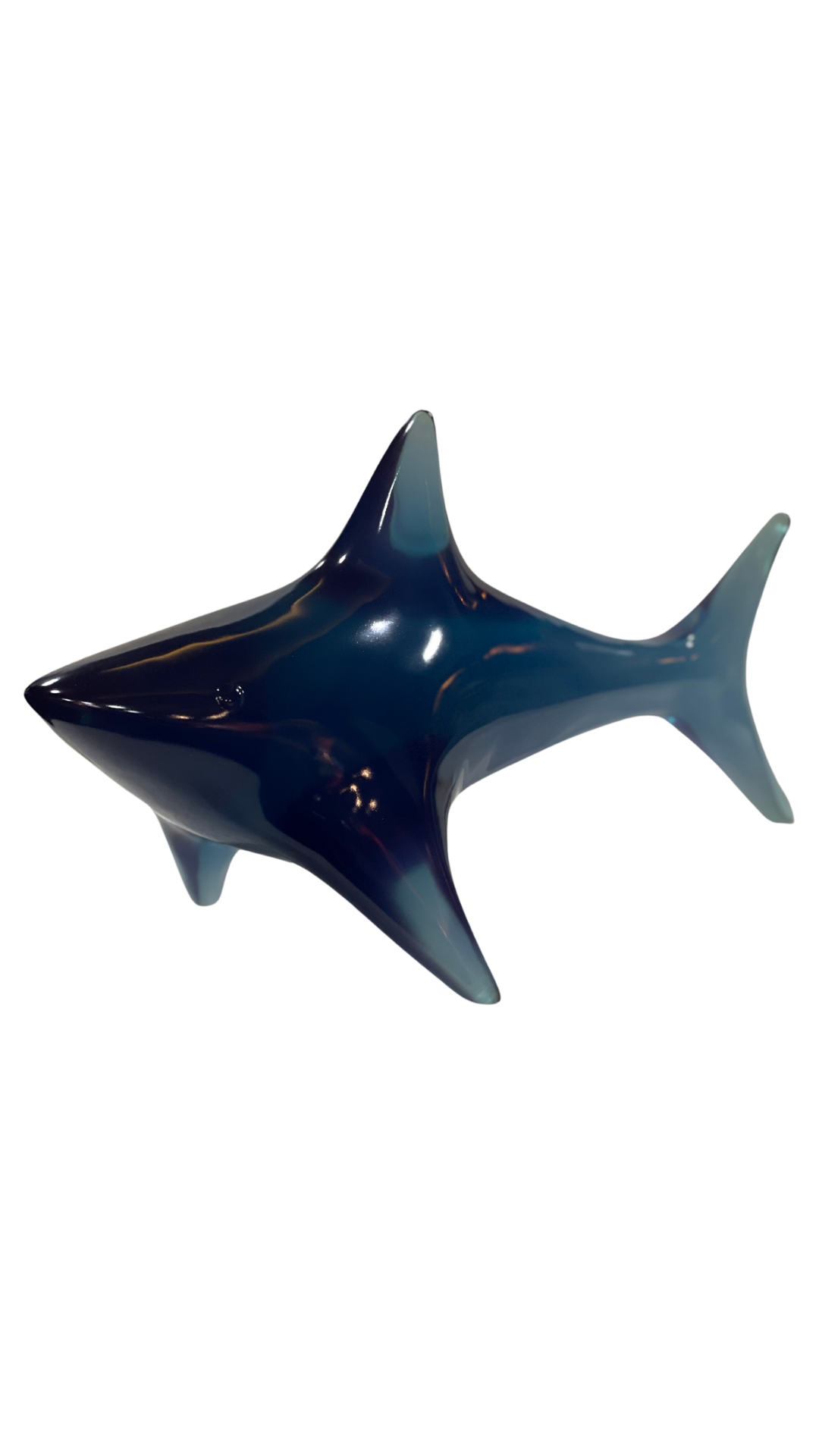 Köpekbalığı Reçine Obje